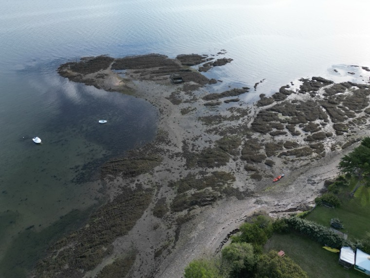 Le rivage boisé du fond de rade